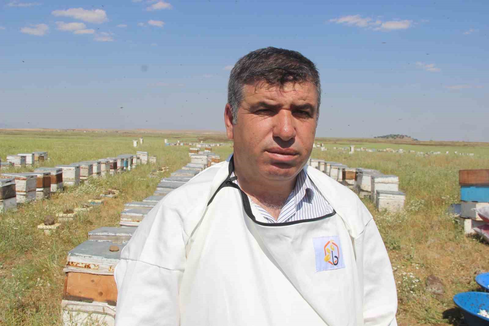 endemik cicekleri ile dikkat ceken alem dagi ordulu ailenin uc kusaktir vazgecilmez rotasi oldu rthg6SGW