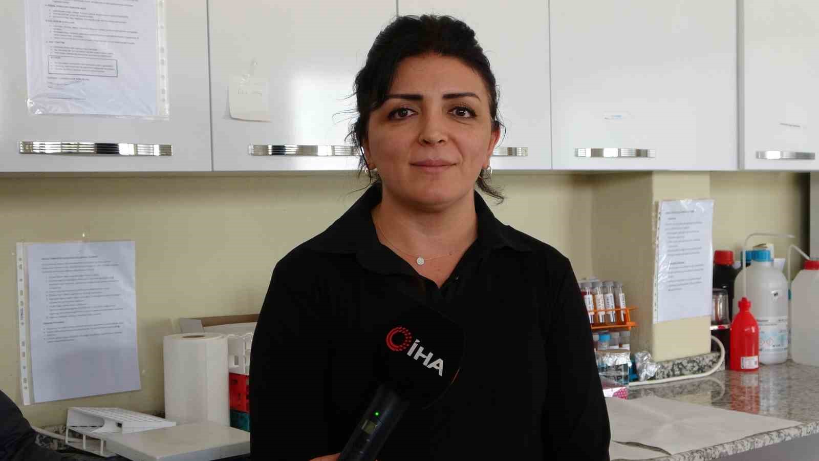 endemik malatya kantaronu kimyasal olarak sari kantarondan daha zengin cikti 4 1Evb9Q9D