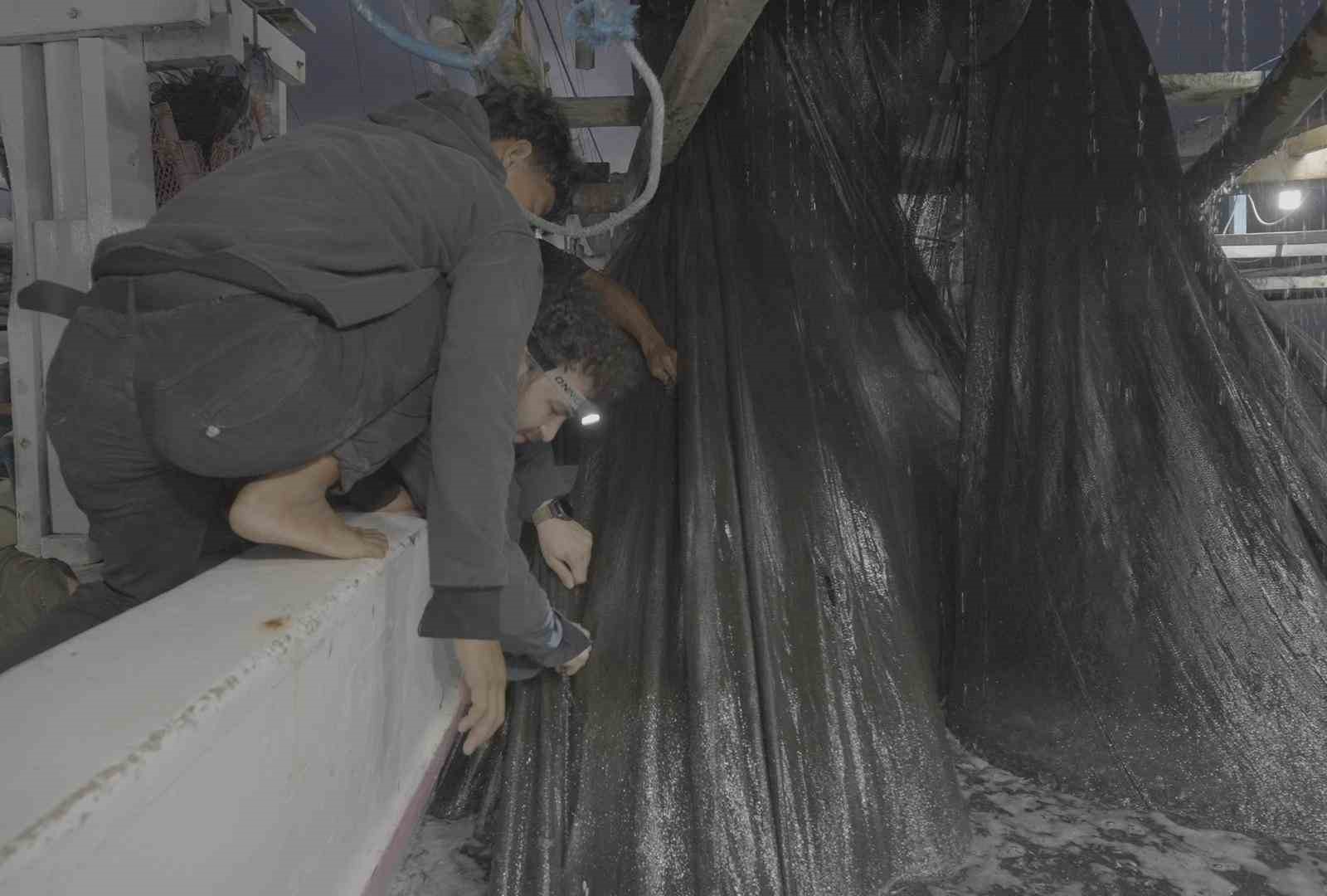 endonezyada aglara takilan balina kopekbaligi uzun ugraslar sonucu kurtarildi 1 c4LRHp8E