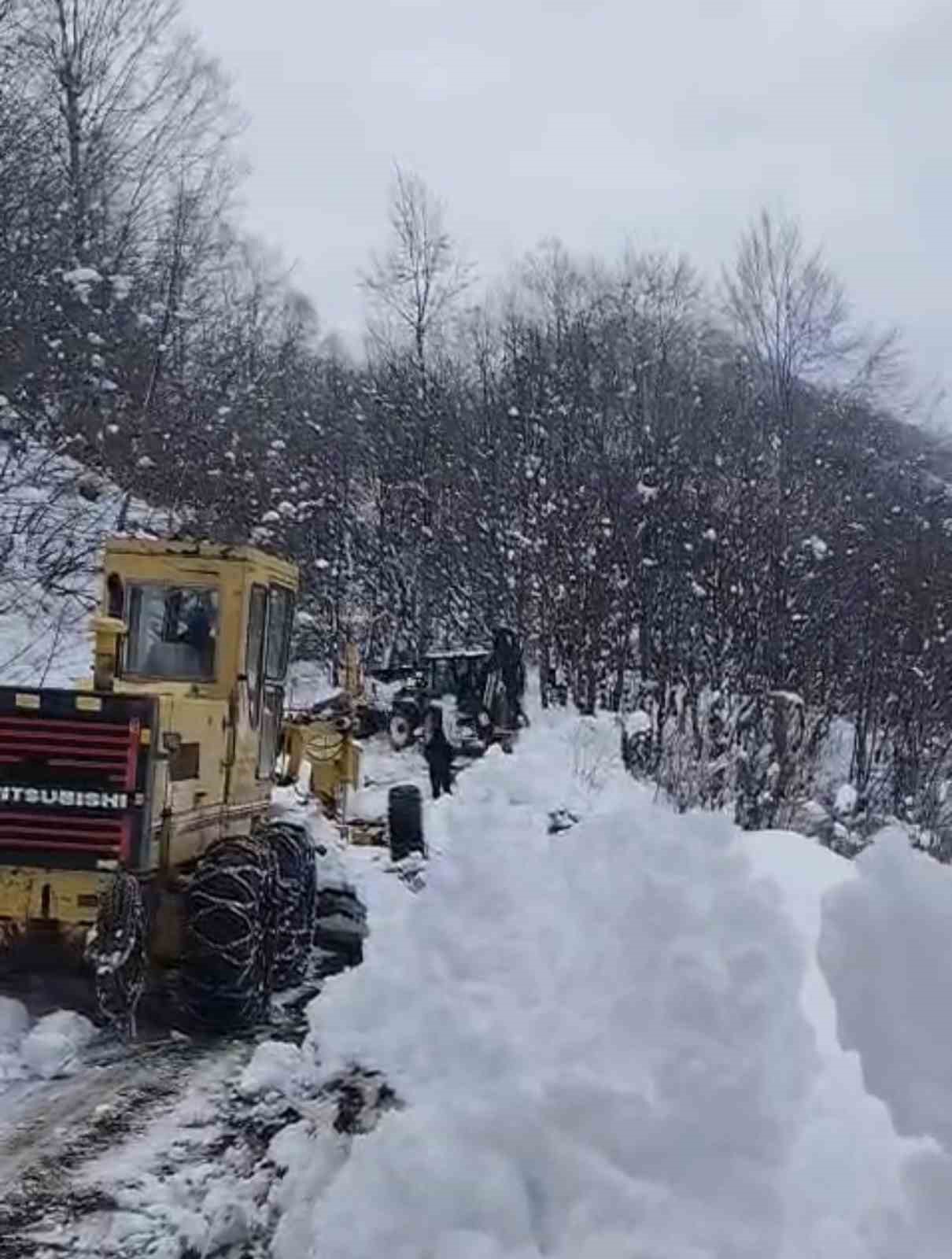 erbaada kapanan koy yolu ekiplerin calismasiyla acildi 0 LC6NuSFq