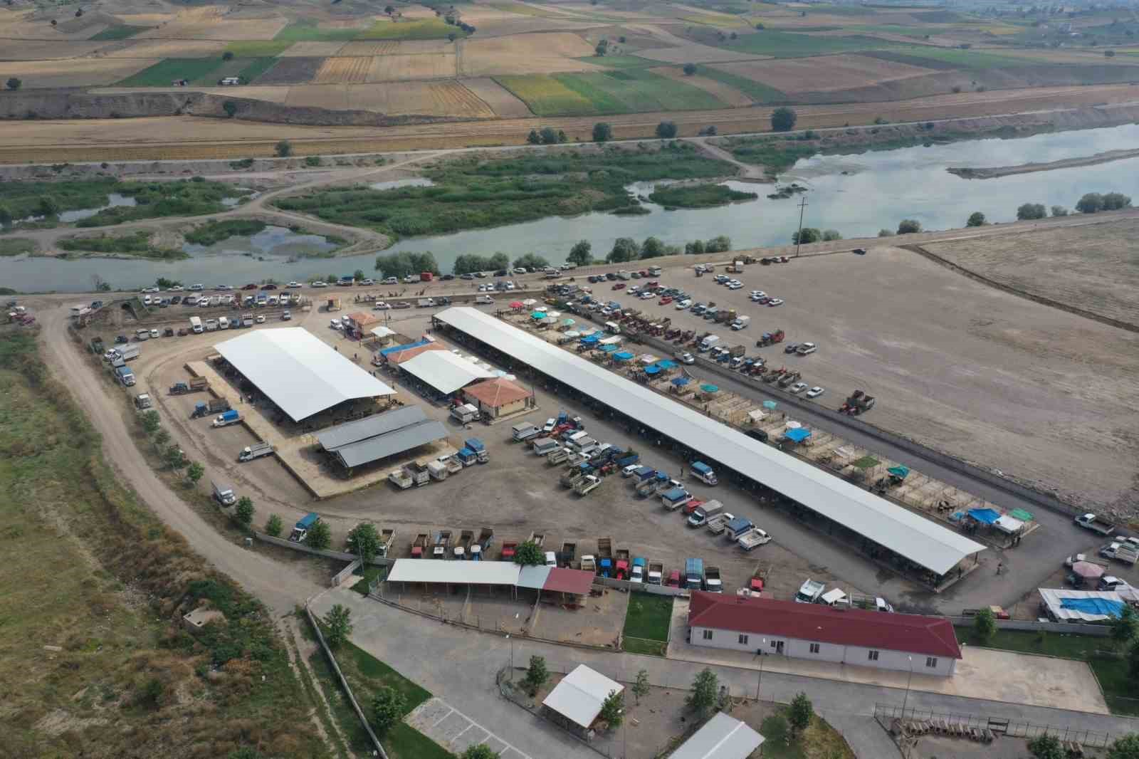 erbaada koyun cicek hastaligi nedeniyle hayvan pazari kapatildi 0 7syUARG8