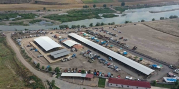 erbaada-koyun-cicek-hastaligi-nedeniyle-hayvan-pazari-kapatildi-ftTzpYWk.jpg