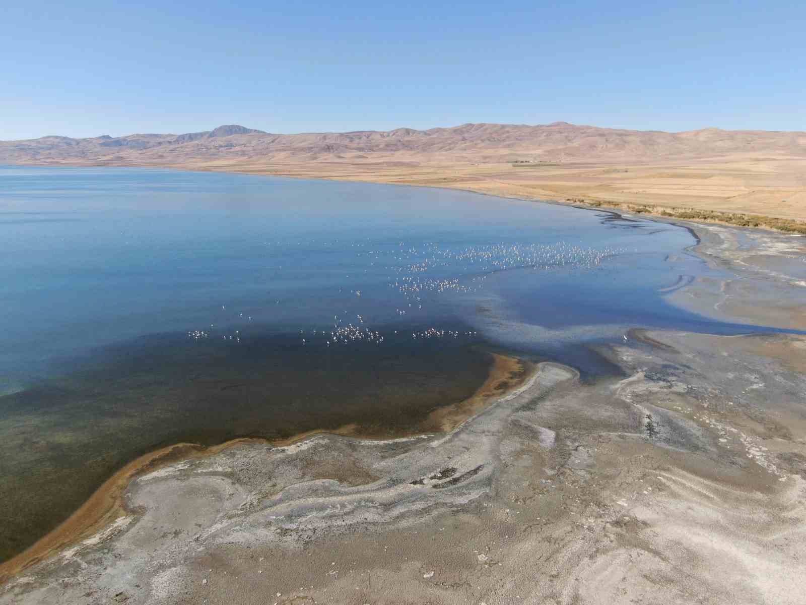 ercek golu son 30 yilda buyuk cekilme yasadi 6