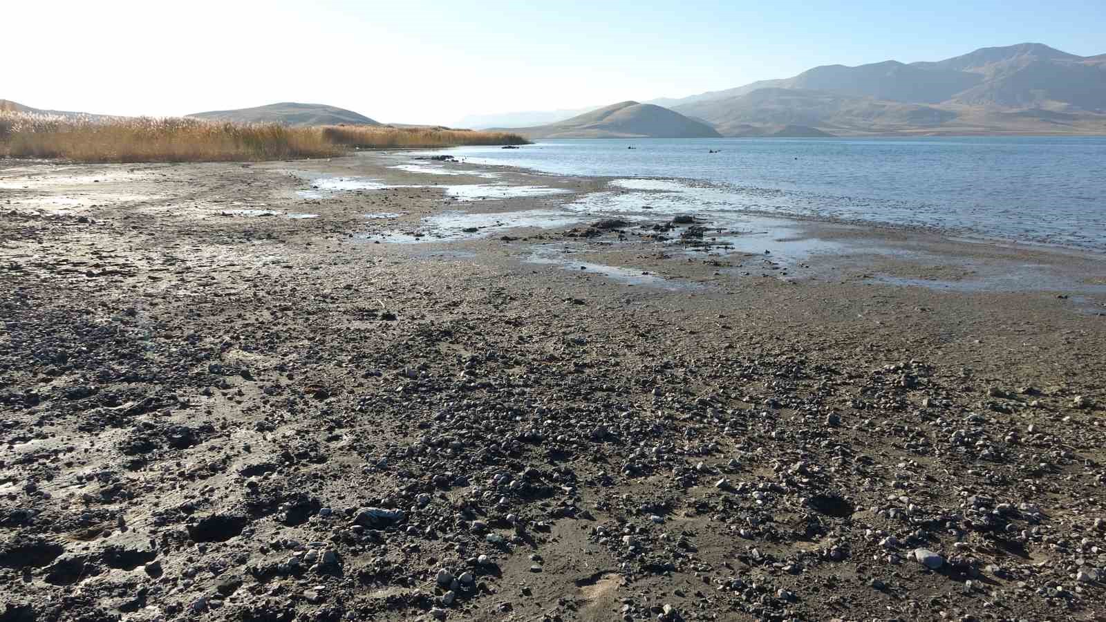 ercek golunde su cekilince mikrobiyalitler ortaya cikti 0 Vi3CdYci
