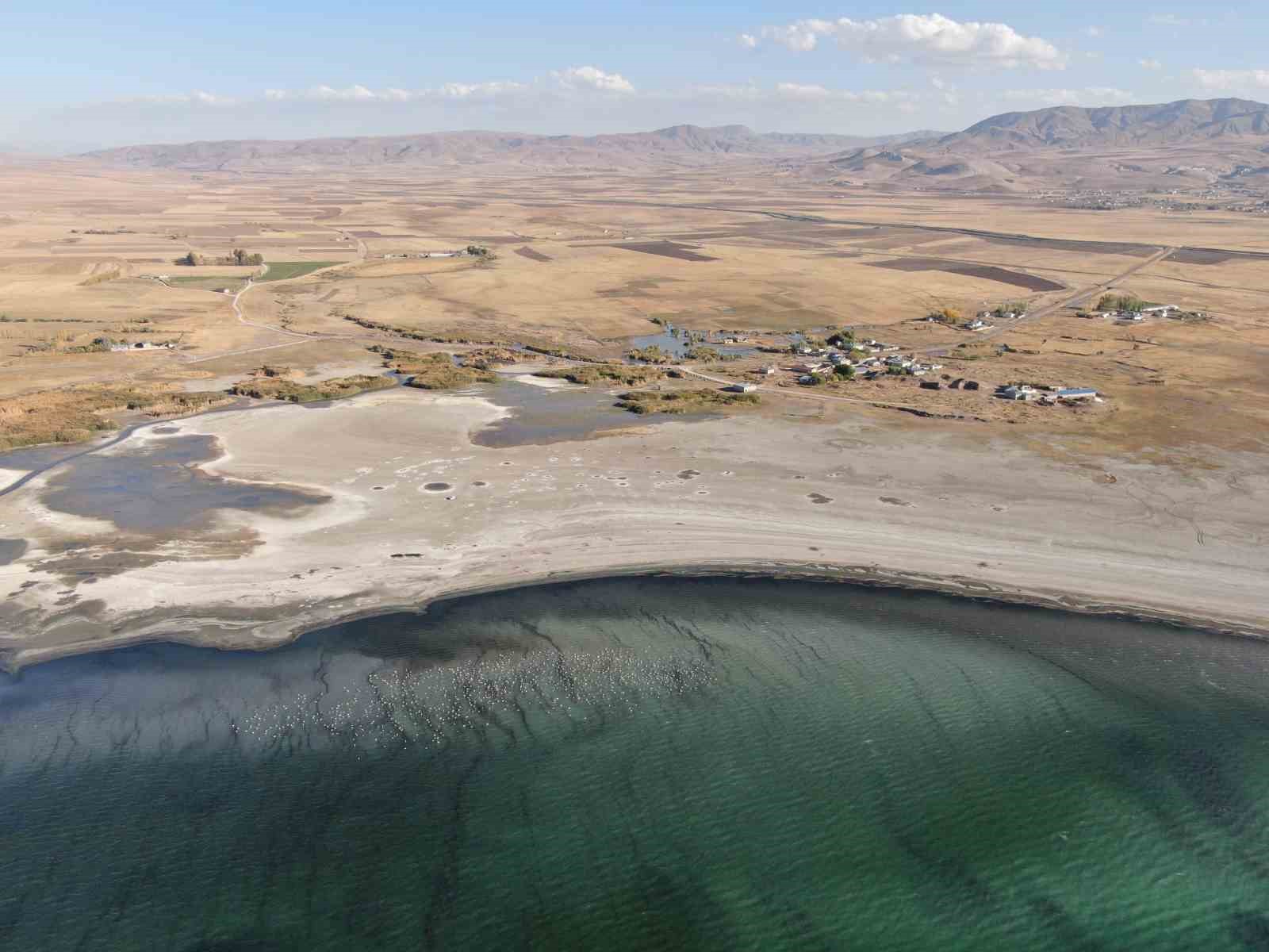 ercek golunde su seviyesi gozle gorulur sekilde azaldi 2