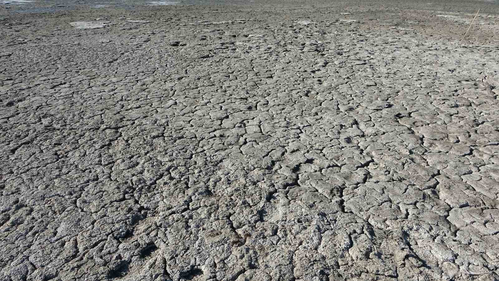 ercek golunde su seviyesi gozle gorulur sekilde azaldi 5