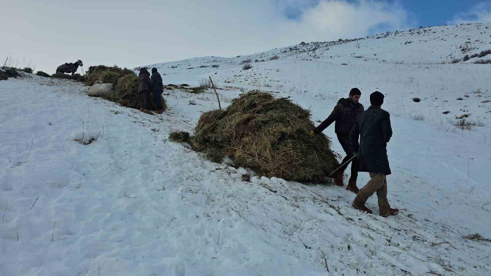 Erciş’te asırlık kış mesaisi: Otlar kızaklarla köye taşınıyor 5 erciste asirlik kis mesaisi otlar kizaklarla koye tasiniyor 1