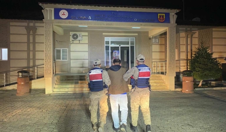 erciste-kurgulanmis-hirsizlik-oyununu-jandarma-ortaya-cikardi-DyuMChbJ.jpg
