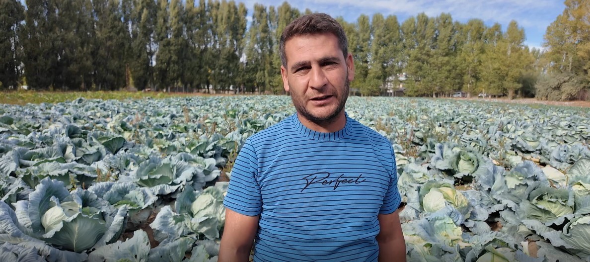 erciste lahana hasadi basladi 3 zaKEbB4g