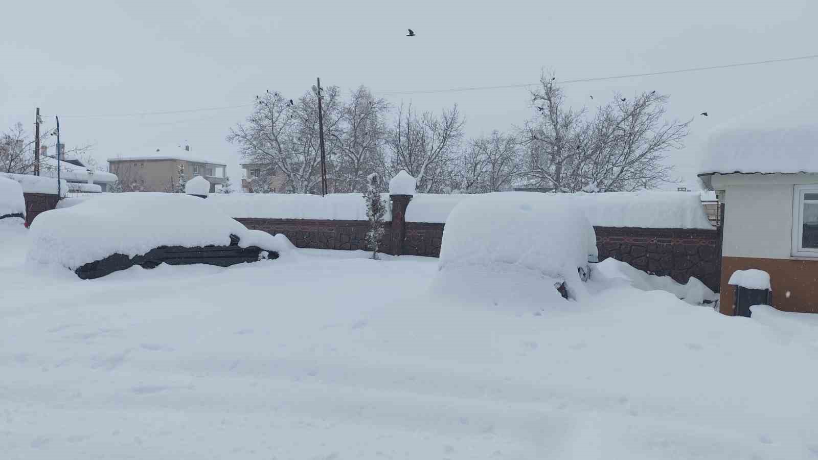 erciste yogun kar yagisi hayati felc etti 1 5hGPmYu3