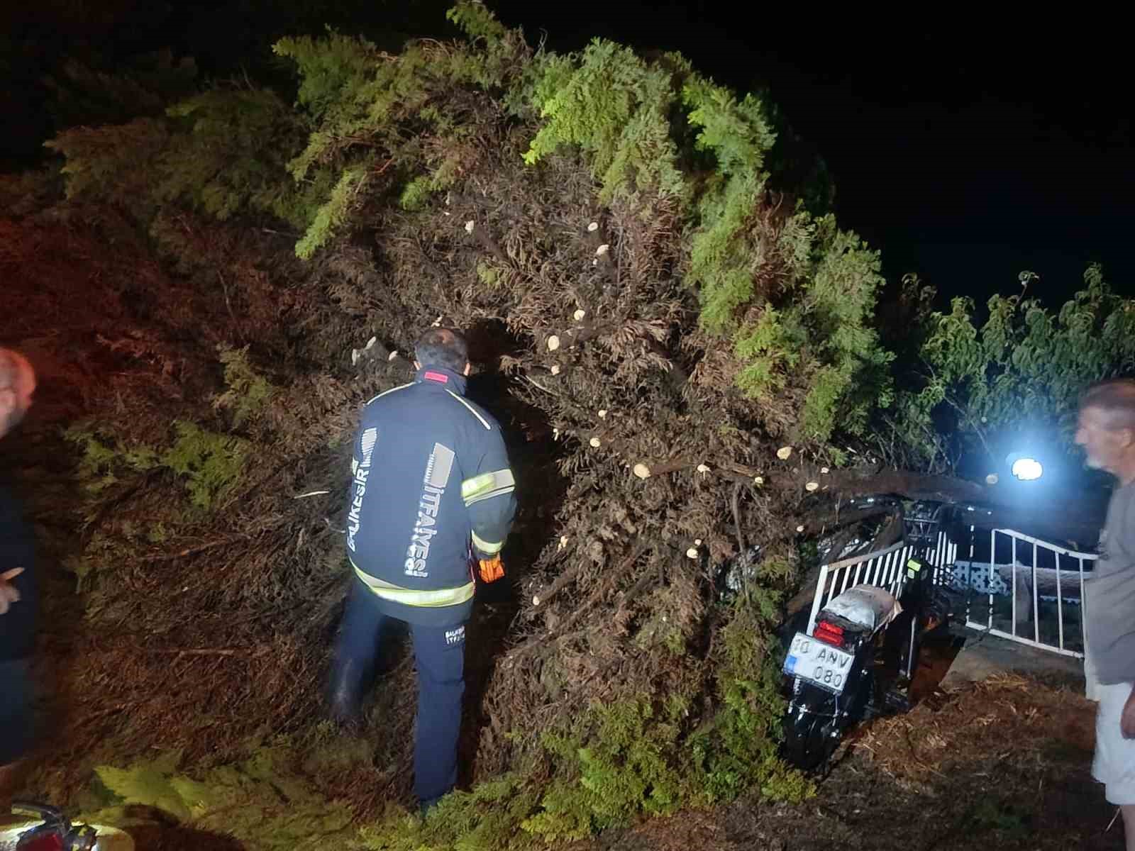 Erdek’te fırtına ve dolu yağışı: Ağaçlar devrildi, çatılar uçtu 14 erdekte firtina ve dolu yagisi agaclar devrildi catilar uctu 10 Izz1Xg76