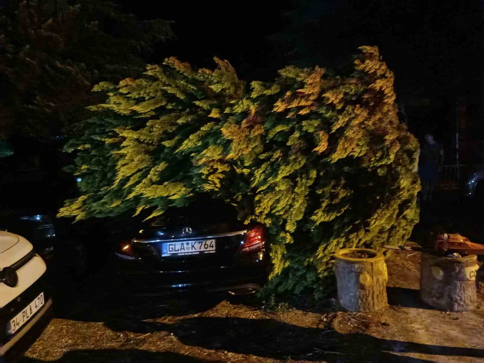 Erdek’te fırtına ve dolu yağışı: Ağaçlar devrildi, çatılar uçtu 16 erdekte firtina ve dolu yagisi agaclar devrildi catilar uctu 12 rFLa9alD