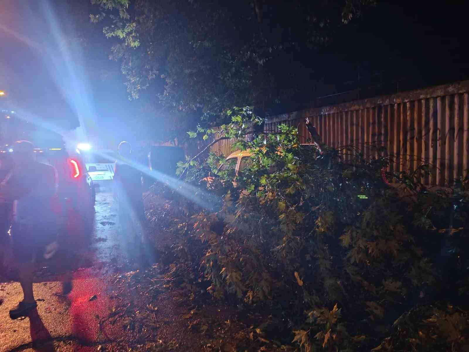 Erdek’te fırtına ve dolu yağışı: Ağaçlar devrildi, çatılar uçtu 17 erdekte firtina ve dolu yagisi agaclar devrildi catilar uctu 13 yIjykufr