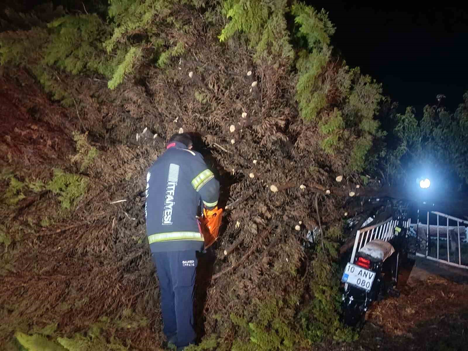 Erdek’te fırtına ve dolu yağışı: Ağaçlar devrildi, çatılar uçtu 6 erdekte firtina ve dolu yagisi agaclar devrildi catilar uctu 2 9H8wfPPV