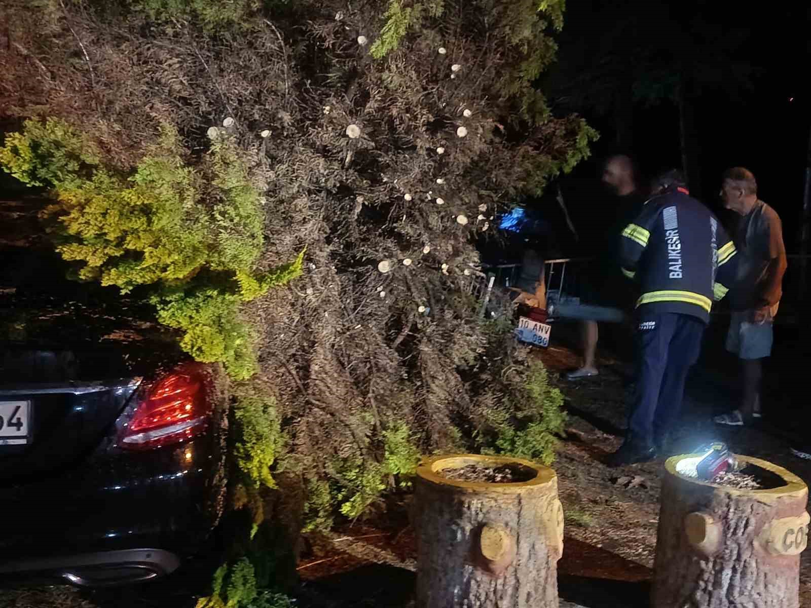 Erdek’te fırtına ve dolu yağışı: Ağaçlar devrildi, çatılar uçtu 10 erdekte firtina ve dolu yagisi agaclar devrildi catilar uctu 6 FWbvSkbW