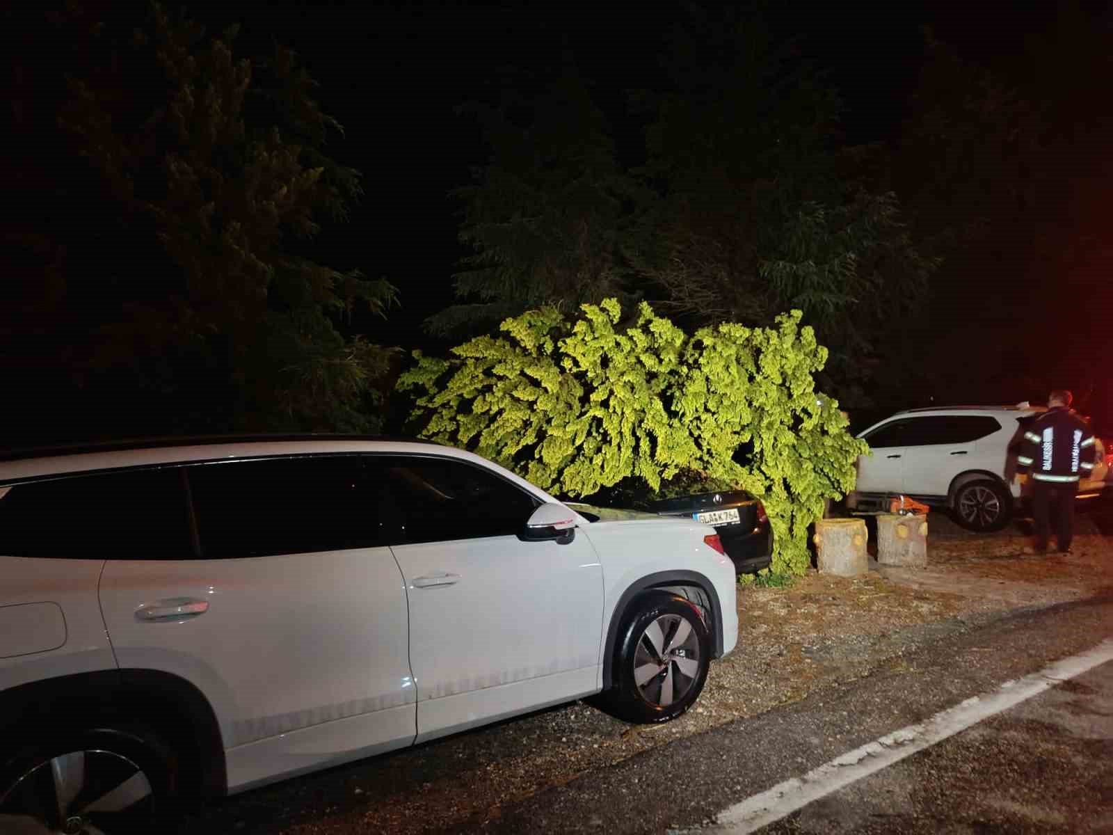 Erdek’te fırtına ve dolu yağışı: Ağaçlar devrildi, çatılar uçtu 12 erdekte firtina ve dolu yagisi agaclar devrildi catilar uctu 8 IR9ADsA5