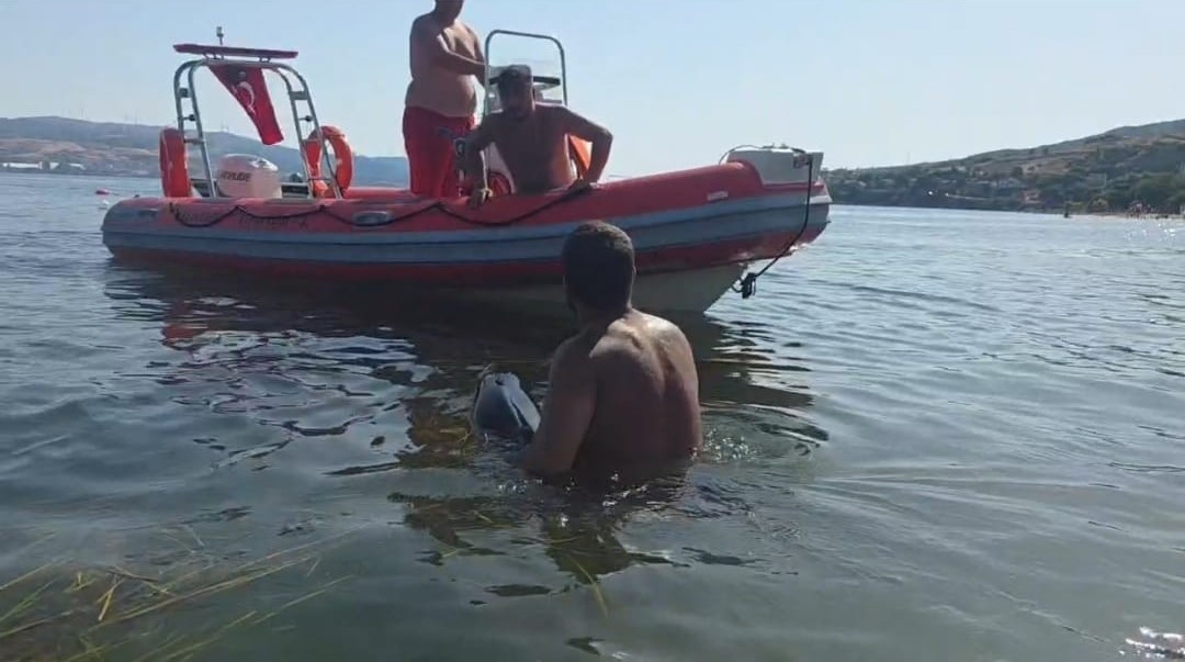 erdekte karaya vuran yavru yunus seferberligi 2 QNmIKG6S