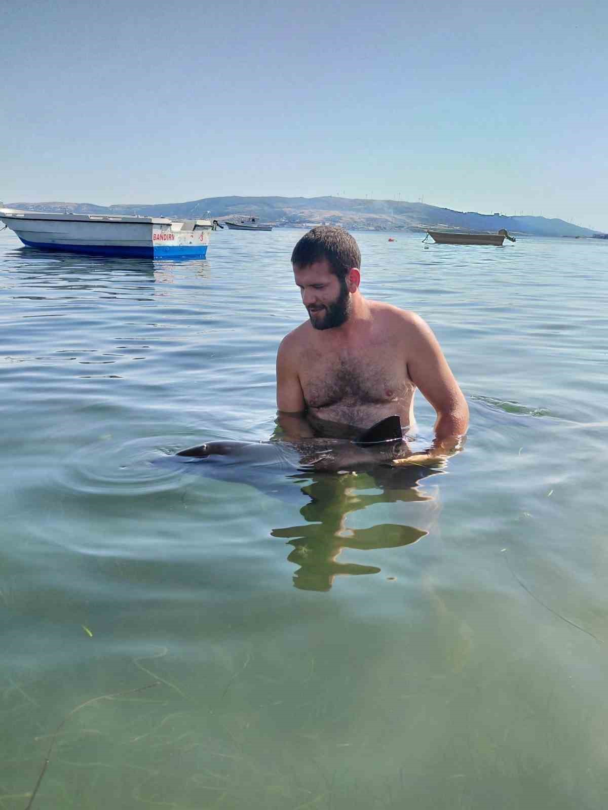 erdekte karaya vuran yavru yunus seferberligi 3