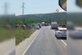 Malatya’da iki pikap çarpıştı: 3 yaralı 1 thumbnail