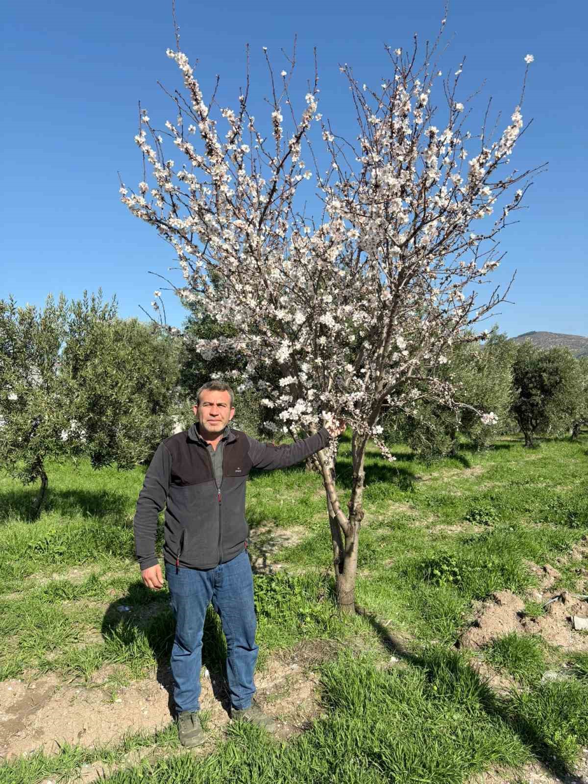 erken cicek acan badem agaclari ureticiyi tedirgin etti 2 gHEah8ae