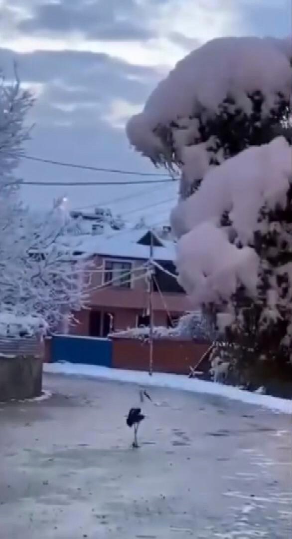erken gocen leyleklere kar surprizi 2 dvnIU29J