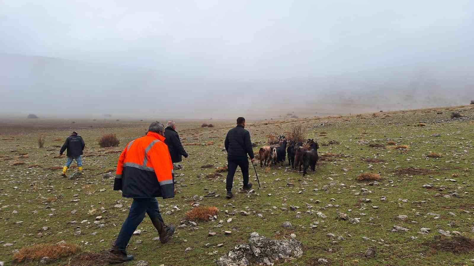 erzincanda kayaliklarda mahsur kalan 11 keci 3 saatlik operasyonla kurtarildi 1 MfZFGgzF