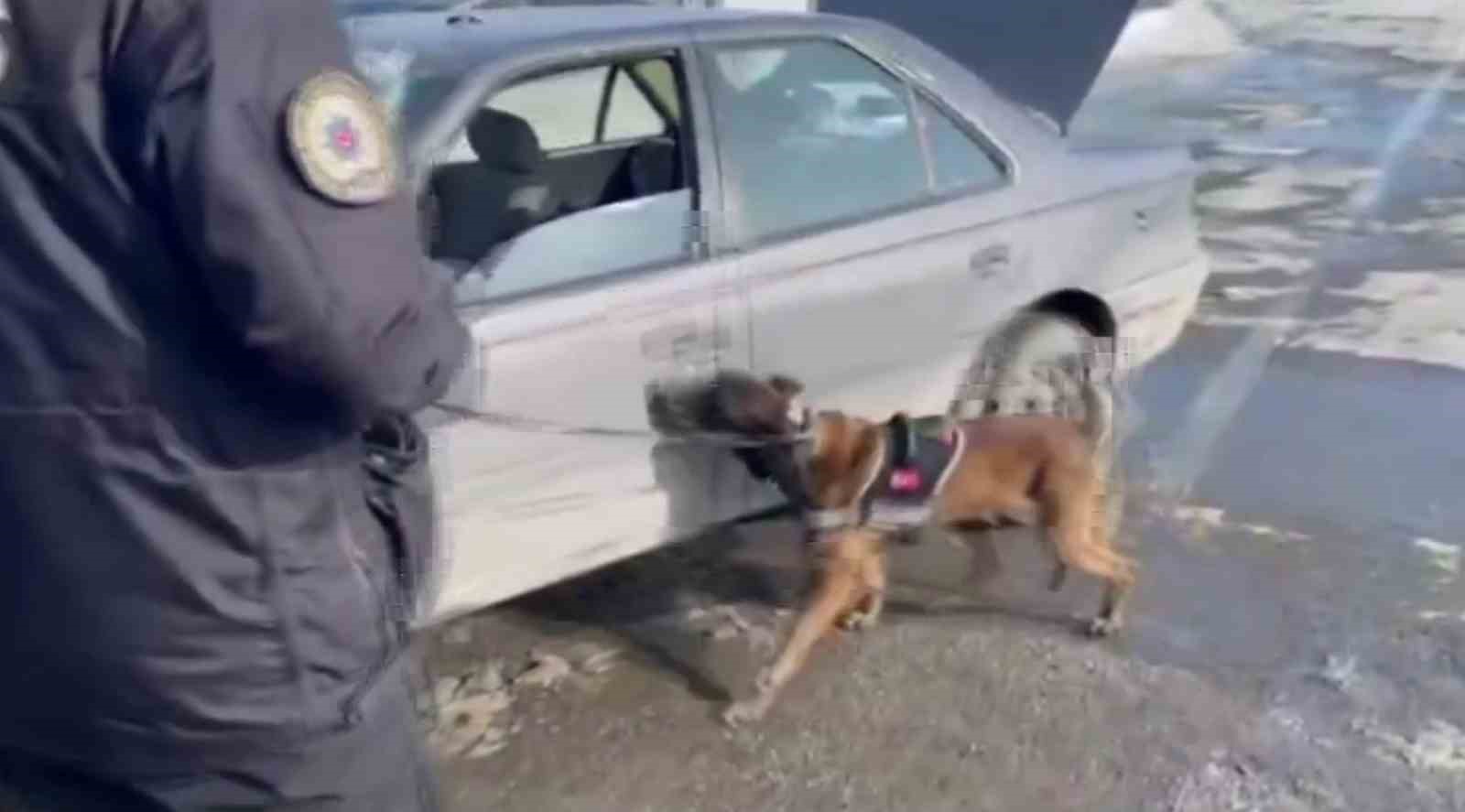 erzurum polisinden uyusturucu ve uyusturucu tacirlerine gecit yok 1 z2wURqEK