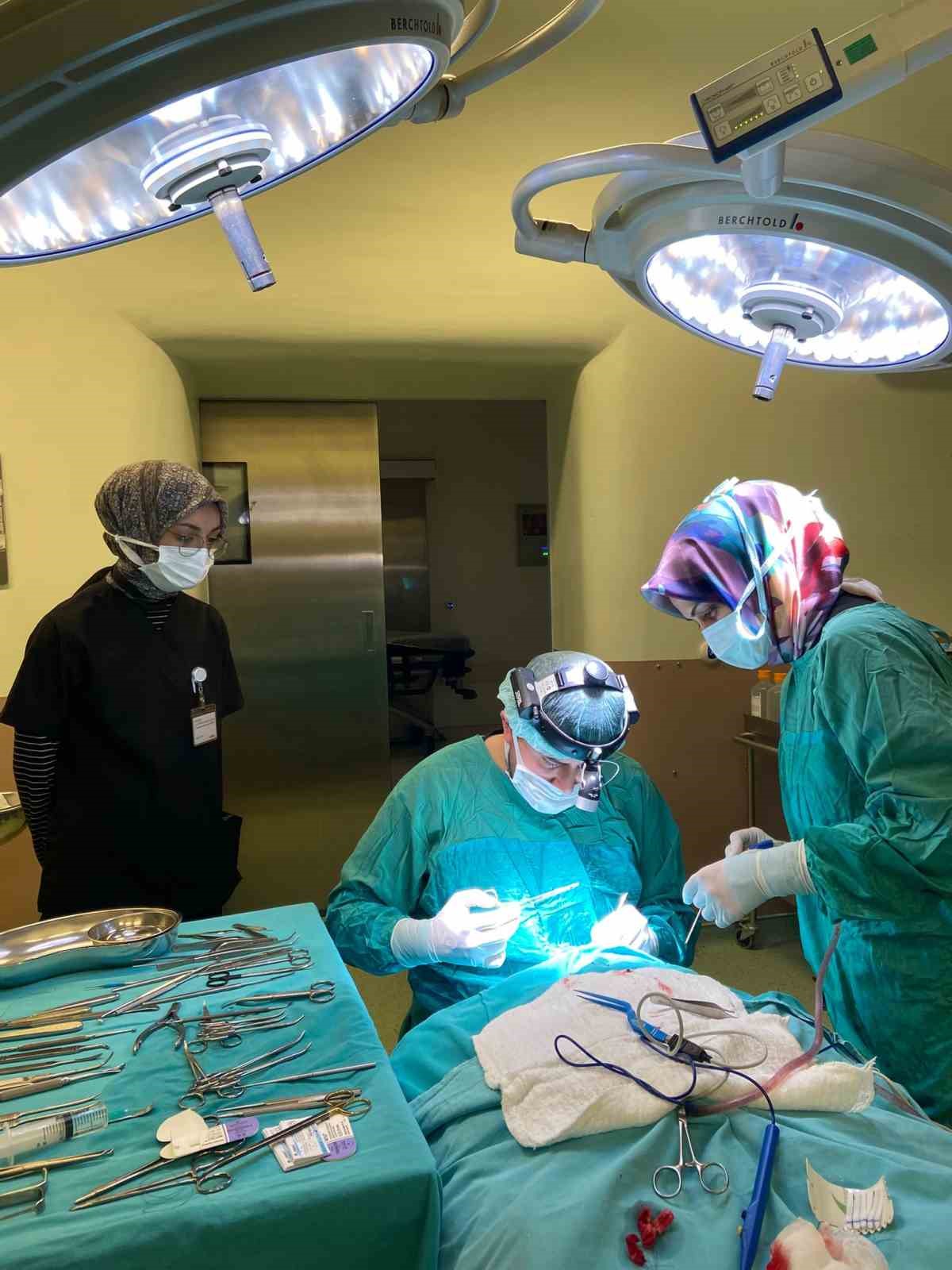 Erzurum Şehir Hastanesi’nde bir ilk: Kumsal bebek şifa buldu 11 erzurum sehir hastanesinde bir ilk kumsal bebek sifa buldu 7 GnpKNAUj