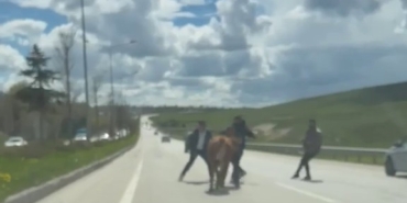 erzurumda-bir-kurban-klasigi-kacan-kurbanliklar-trafigi-birbirine-katti-2RiUY6Sx.jpg