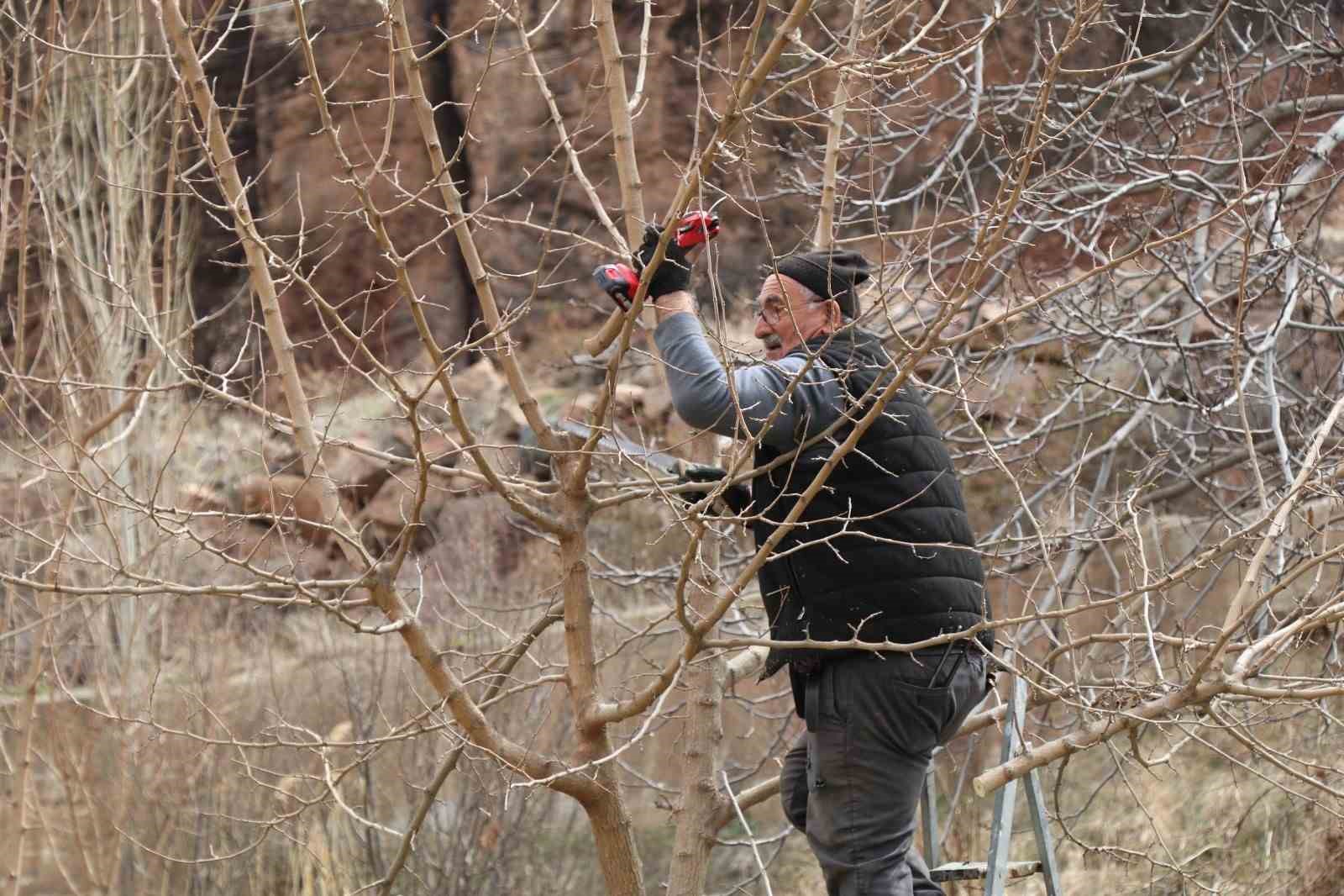 erzurumda koylerde bahce bakim calismalari basladi 0 XZVSEJfi