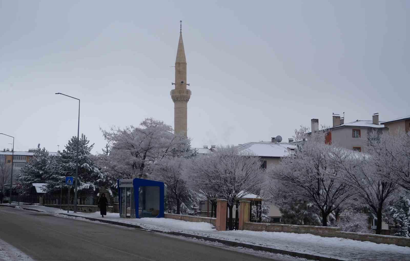 erzurumda soguk havanin etkisiyle agaclar kiragi tuttu 1 cCVwtK6k