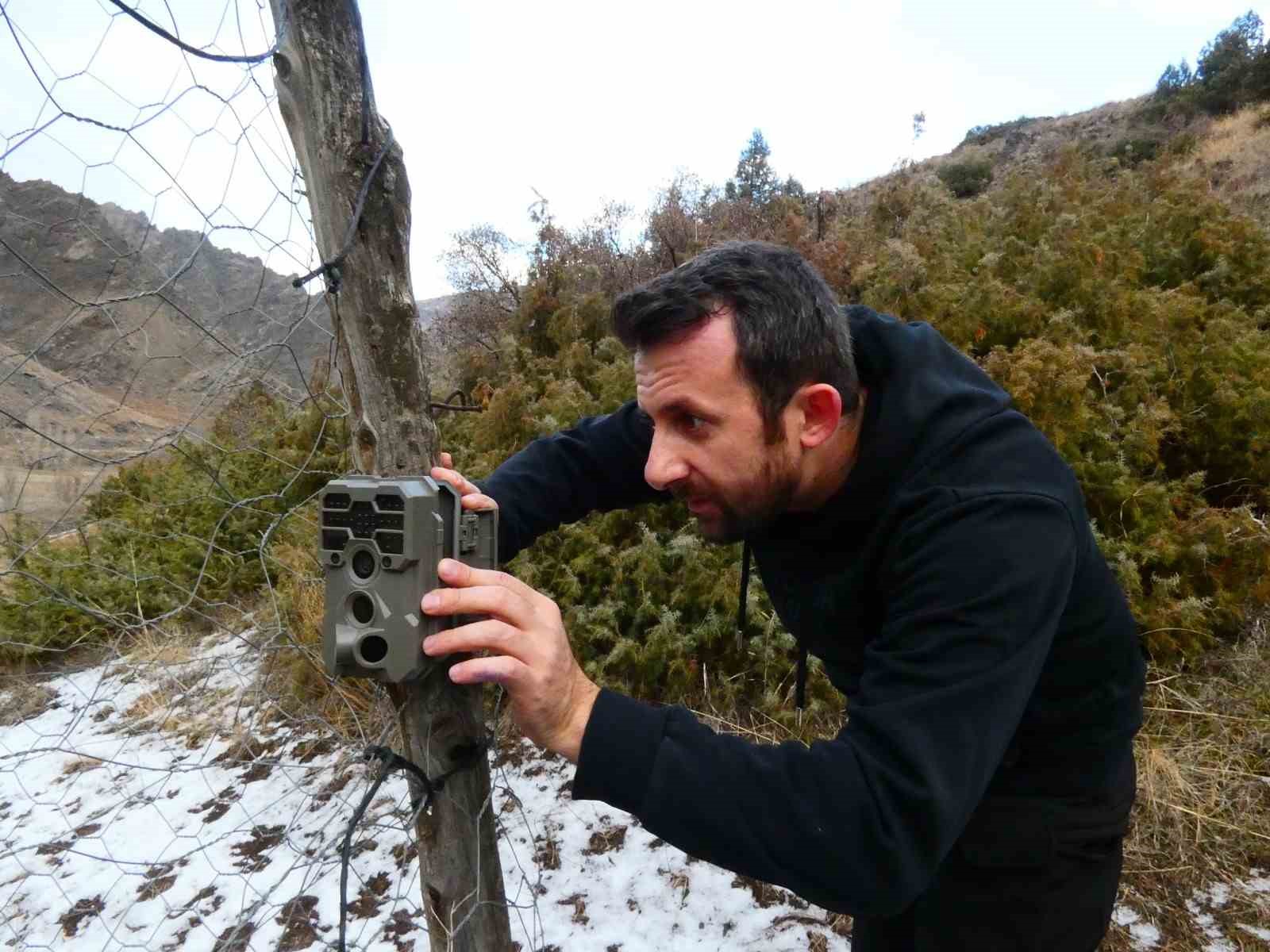 erzurumda yaban hayati fotokapanlara takildi 6 ZyPDDgEz