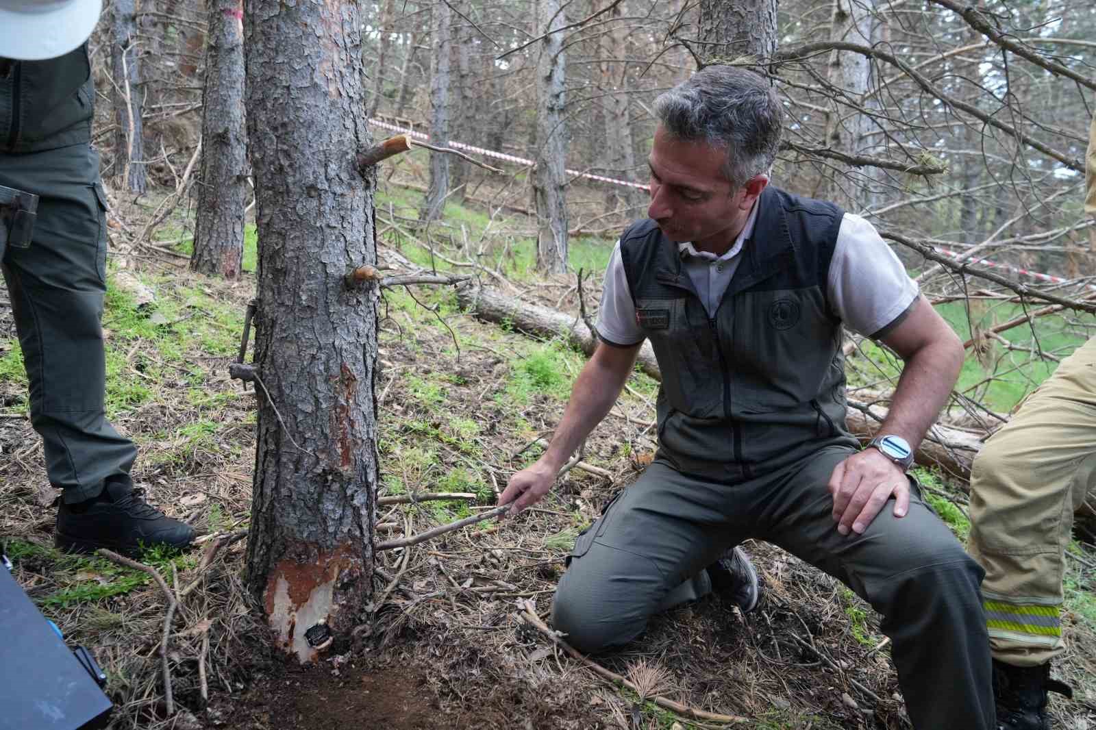 erzurumun akcigerlerine planli dokunus 1 Dq6GYFng