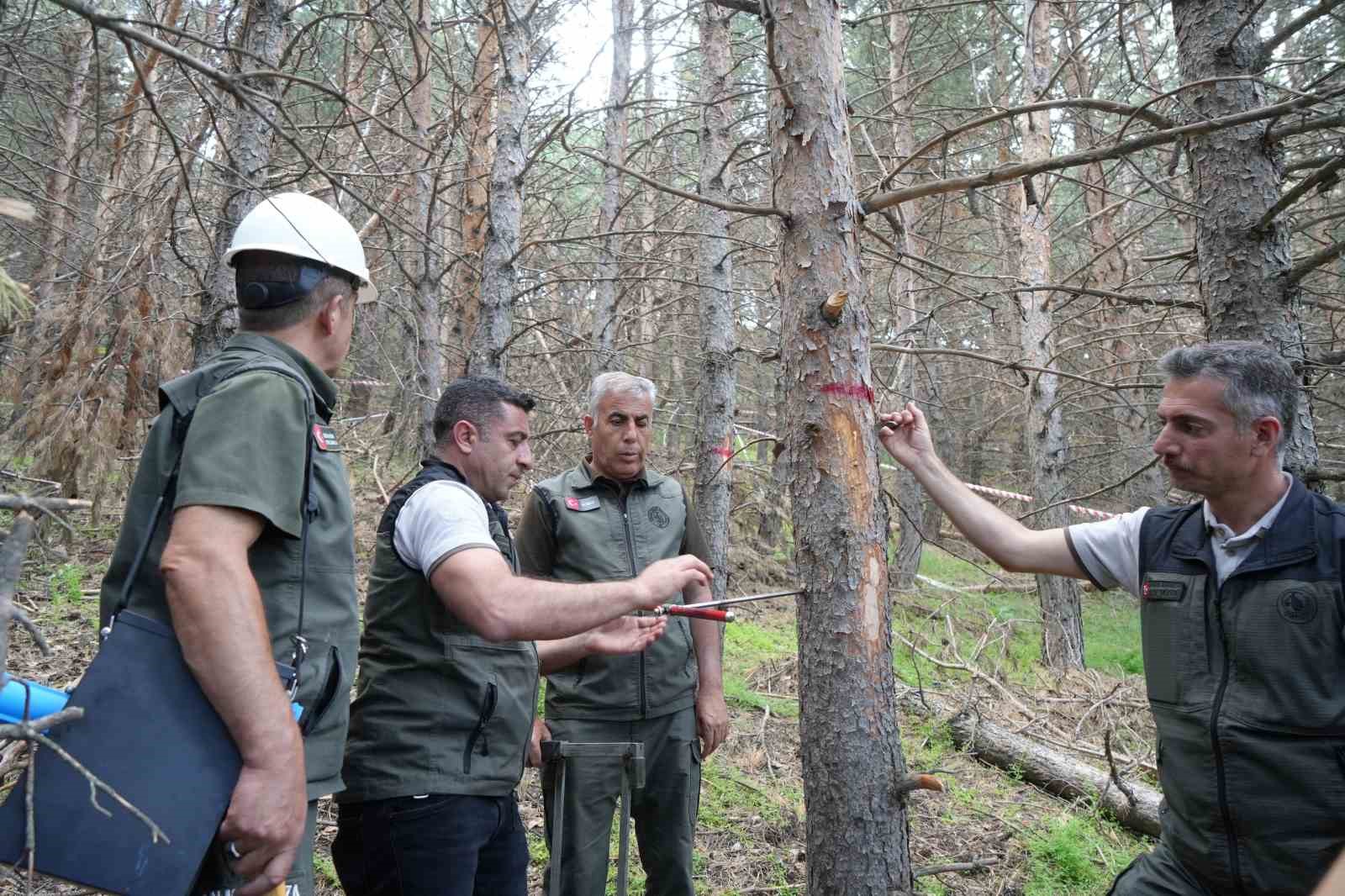 erzurumun akcigerlerine planli dokunus 3 GUeKbduJ