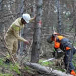 erzurumun-akcigerlerine-planli-dokunus-wtr1NRKL.jpg