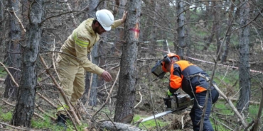 erzurumun-akcigerlerine-planli-dokunus-wtr1NRKL.jpg