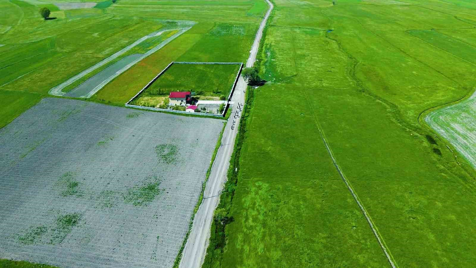 erzurumun demir atlilari yollara cikti her hafta sonu yeni bir rota yeni bir macera KvXSvYTF