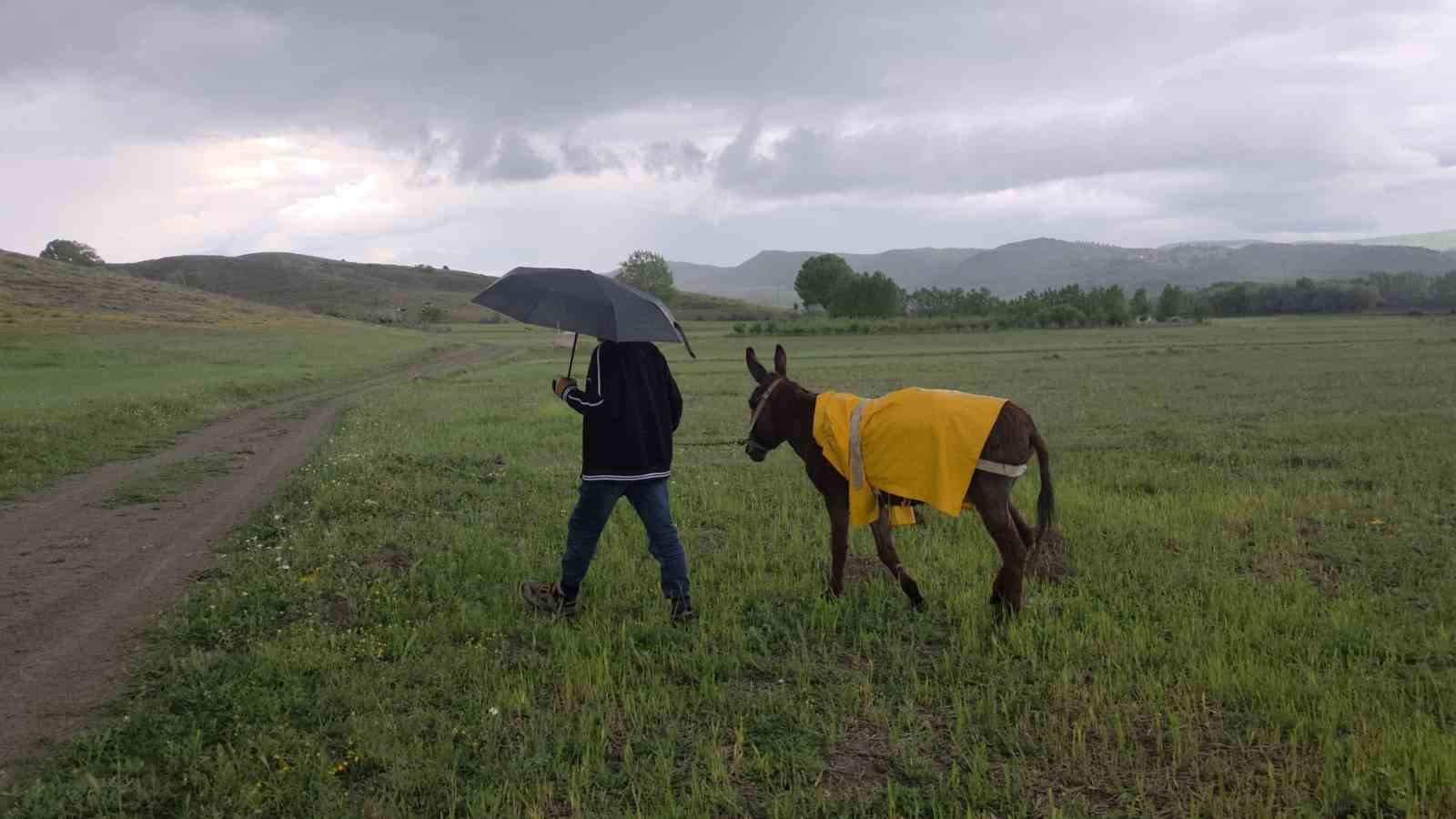 Eşeğinin ıslanmasına kıyamadı, kendi yağmurluğunu ona giydirdi 7 eseginin islanmasina kiyamadi kendi yagmurlugunu ona giydirdi 3 Ey44644B