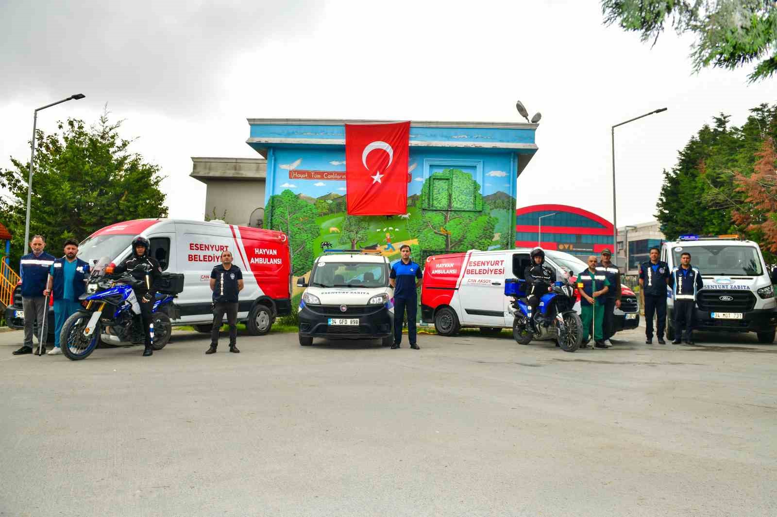 Esenyurt Belediyesi Kurban Bayramı’na hazır 7 esenyurt belediyesi kurban bayramina hazir 3 mtBJJJcp