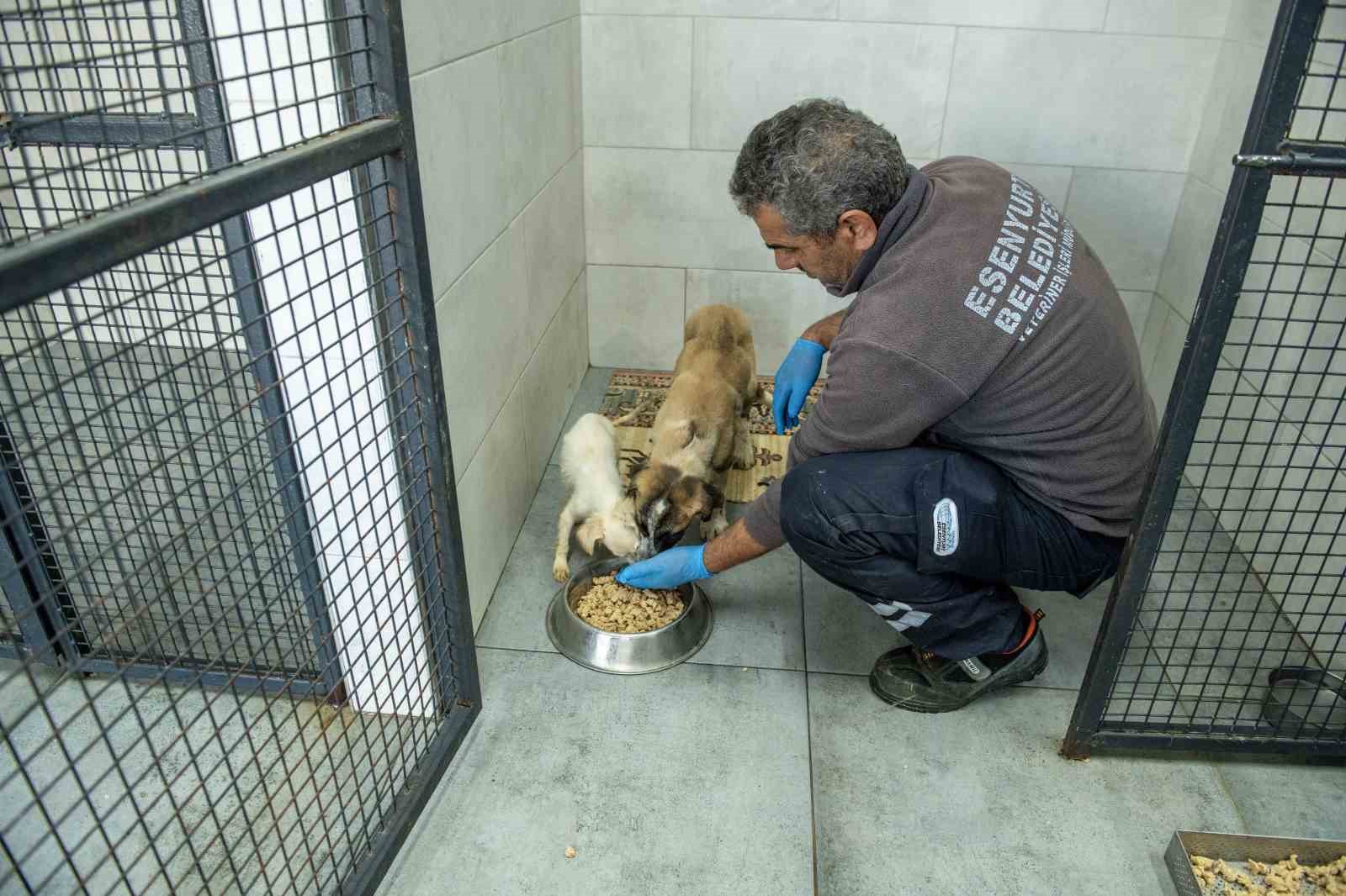 esenyurt belediyesinden israfi onleyen ornek uygulama 3 Zn4LSV8l