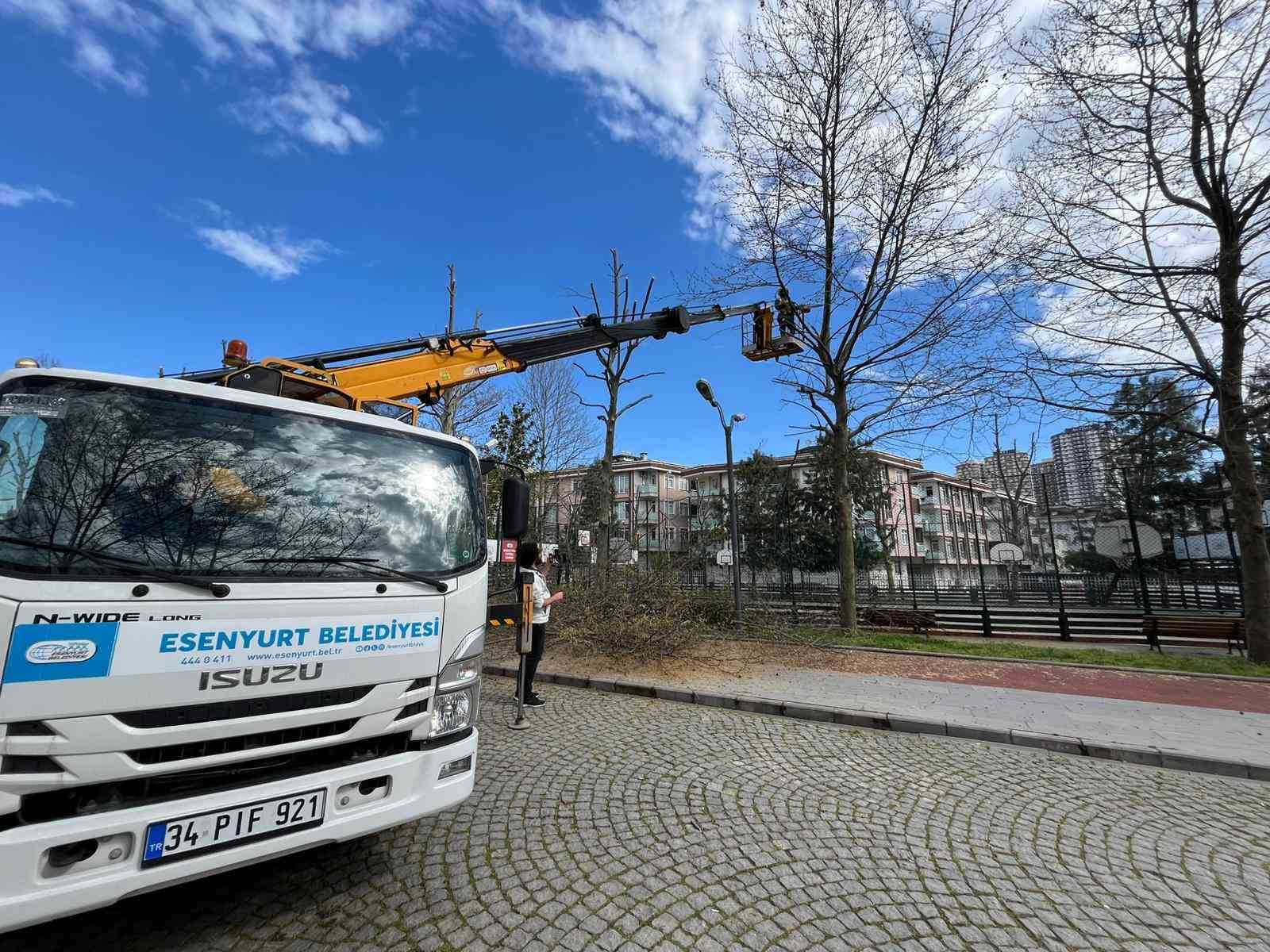 esenyurt belediyesinden yesil alanlara bahar dokunusu 6 1JimnubI