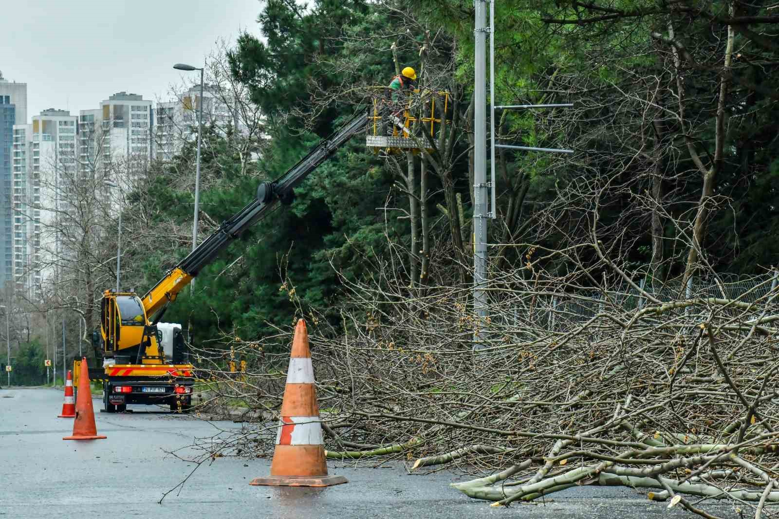 esenyurtta bahar hazirliklari basladi agaclar budaniyor 1 QzU7ZKpG