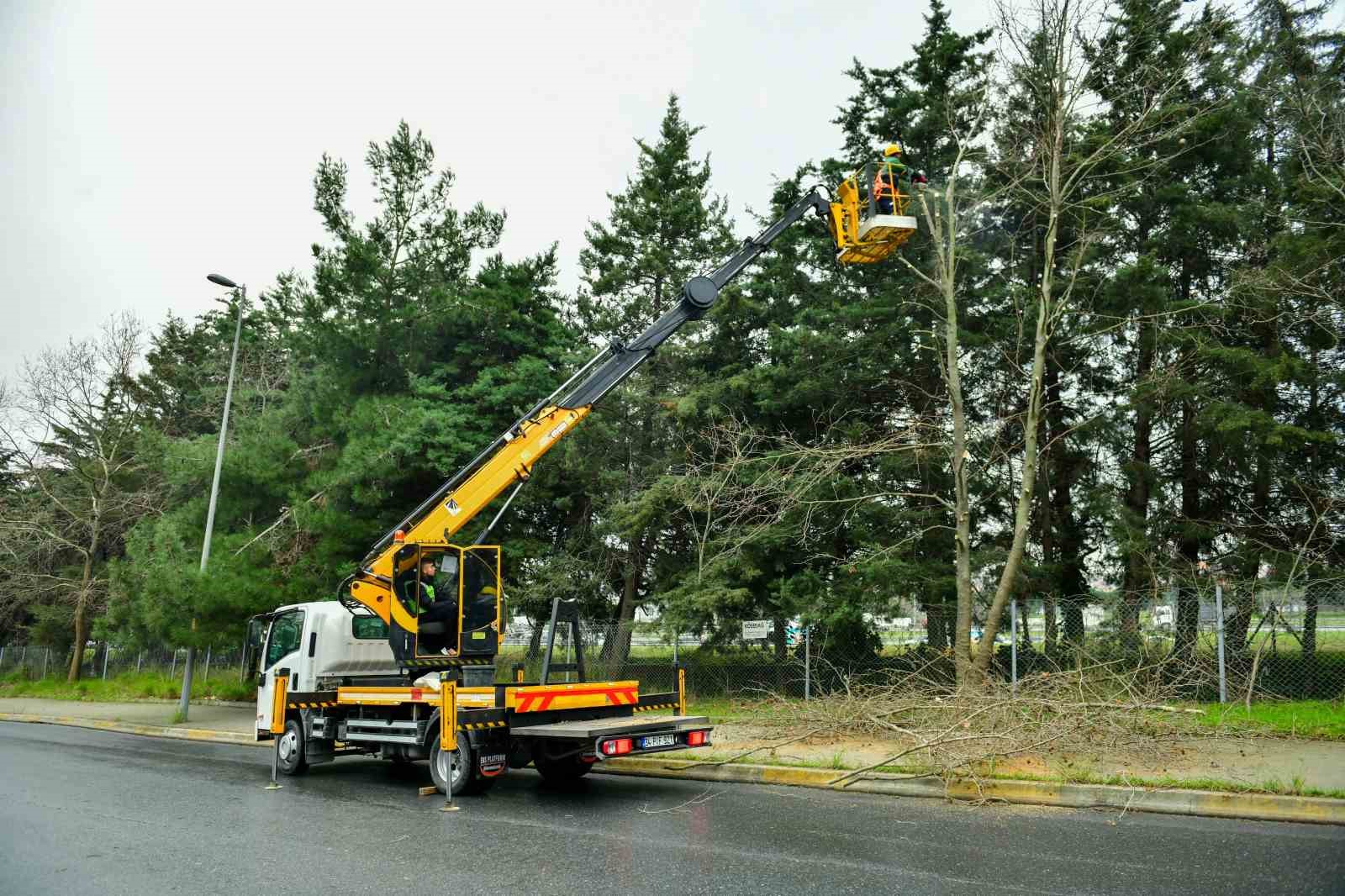 esenyurtta bahar hazirliklari basladi agaclar budaniyor 4 MNctATgh