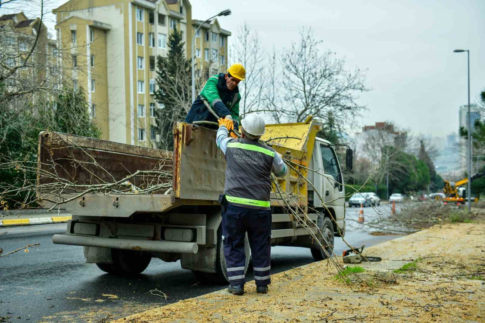 esenyurtta bahar hazirliklari basladi agaclar budaniyor 5 K416iYG7