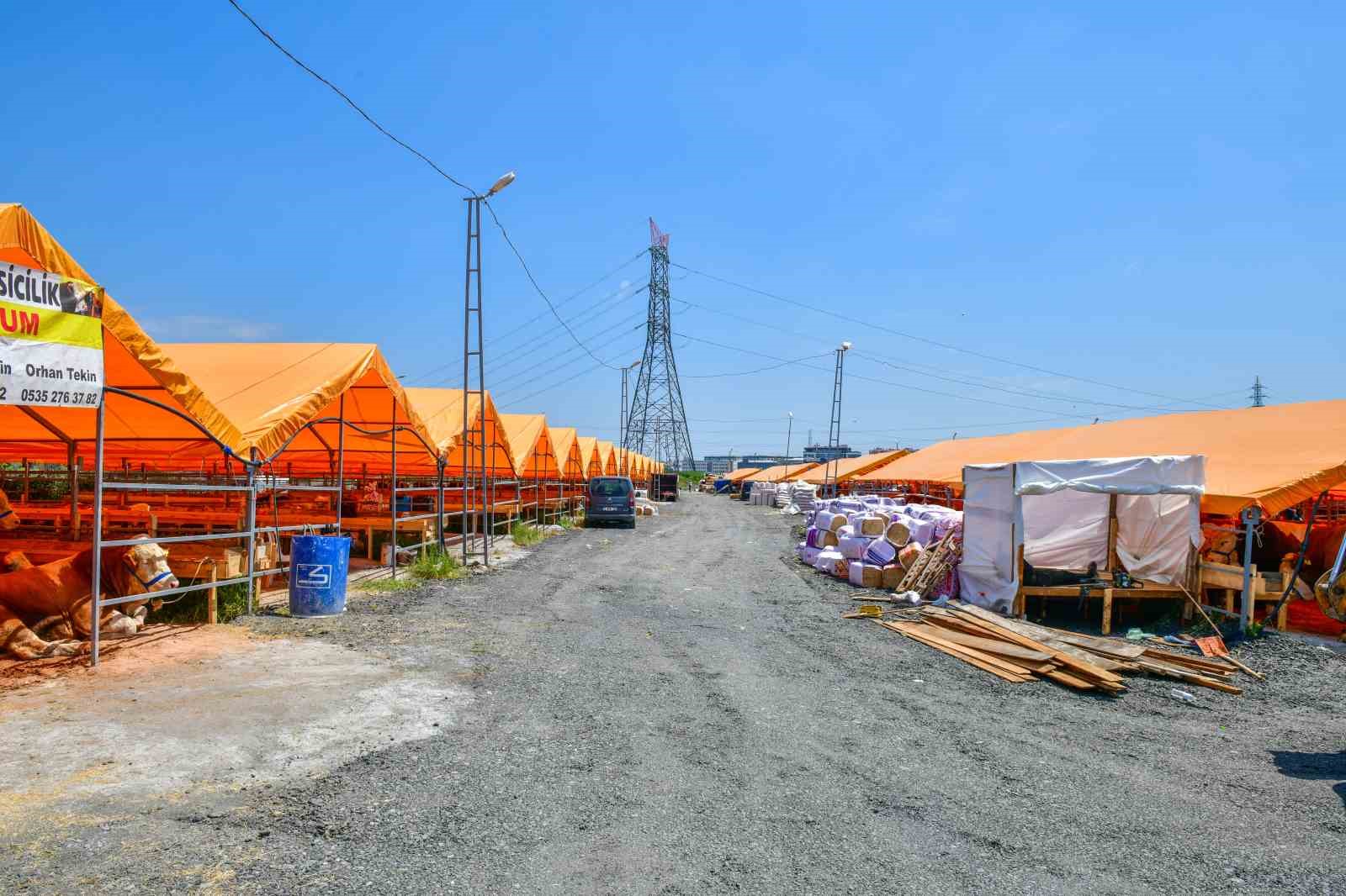 esenyurtta ilk kurbanliklar pazara giris yapti 5 Z24HAcsl