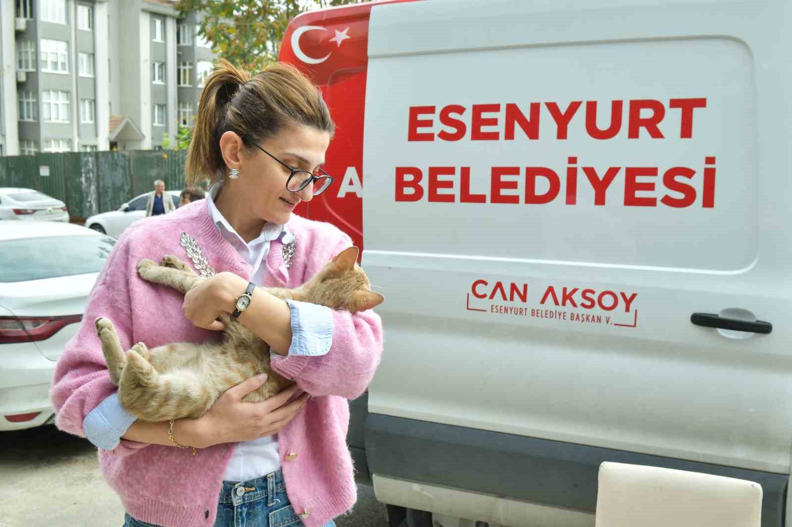 Esenyurt’ta sokak kedilerine parazit uygulaması: Hem hayvan sıhhatine hem toplum sıhhatine katkı 10 esenyurtta sokak kedilerine parazit uygulamasi hem hayvan sihhatine hem toplum sihhatine katki 6 V1y6ly8H