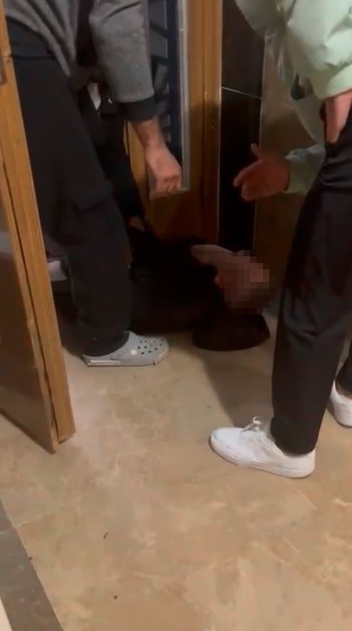 esenyurtta taciz iddiasi mahalleli supheliyi dovdukten sonra polise teslim etti 1 rEFTMVfJ