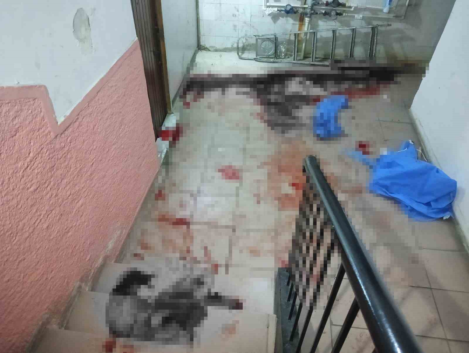 esi eski damadi tarafindan oldurulen adam bana da iki el ates etti ama kursunlar czQNRaTp