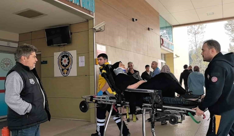 esine-otomobil-kullanmayi-ogretirken-sarampole-uctular-4YHG14LE.jpg