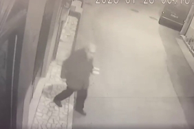 ’Yılanı öldürdüm’ deyip çektirdiği video pahalıya mal oldu: 22 bin TL ceza yedi 2 thumbnail